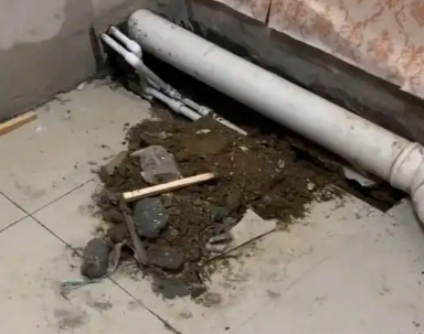 蒸湘卫生间漏水检测哪家好